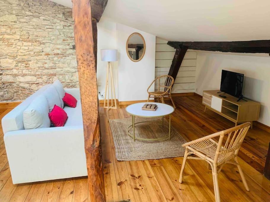 Spacieux Appartement En Plein Coeur De Castres Castres  Exteriér fotografie