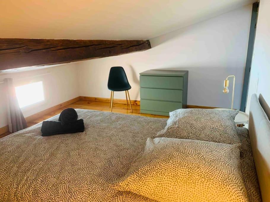 Spacieux Appartement En Plein Coeur De Castres Castres  Exteriér fotografie