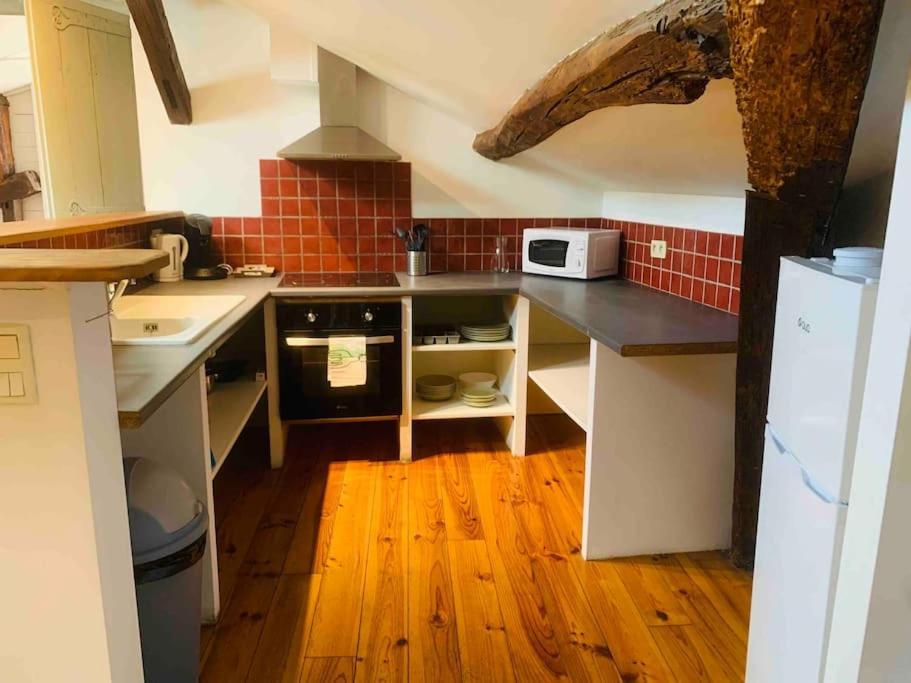 Spacieux Appartement En Plein Coeur De Castres Castres  Exteriér fotografie